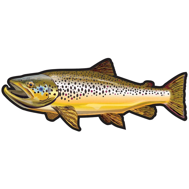 Car Accessories You Need - Car Stickers Wild Brown Trout Caravan