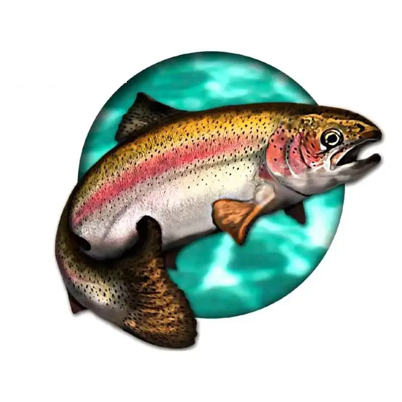 Car Stickers Wild Brown Trout  - Car Accessories You Need ulasan dan harga